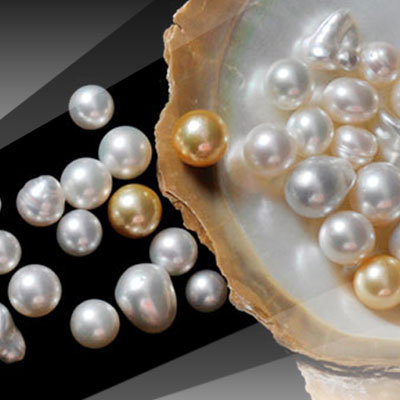 What is the difference between sea and river pearls
